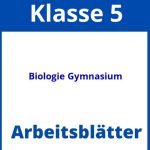 Biologie 5 Klasse Gymnasium Arbeitsblätter