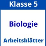 Arbeitsblätter Biologie Klasse 5