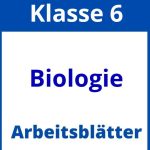 Arbeitsblätter Biologie Klasse 6