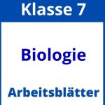 Biologie Klasse 7 Arbeitsblätter