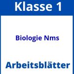 Biologie 1 Klasse Nms Arbeitsblätter