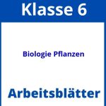 Biologie Klasse 6 Pflanzen Arbeitsblätter