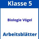 Biologie Klasse 5 Vögel Arbeitsblätter