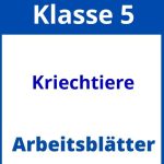 Kriechtiere Klasse 5 Arbeitsblätter