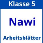 Nawi 5 Klasse Arbeitsblätter